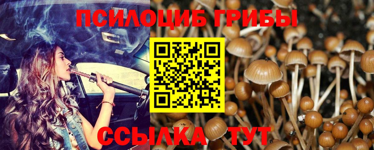 Псилоцибиновые грибы мухоморы  Вход с VPN  Кимры  Псилоцибиновые грибы Magic Shrooms 